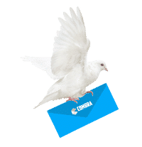 Newslettertaube in weiß mit einem blauen Umschlag und Logo